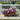 20 Bundles UV Resistant Artificial Pansy Flowers for Outdoors – Faux Silk Pansies with Eucalyptus Leaves for Garden, Porch, Patio, Front Yard & Home Decor (Purple & White)