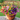 12 Bundles UV Resistant Artificial Daisy Flowers for Outdoors – Faux Silk Daisies with Eucalyptus Leaves for Garden, Porch, Patio, Front Yard & Home Decor (Red,Purple,Yellow,Pink)
