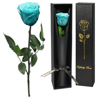Preserved Real Rose Gift in Premium Box