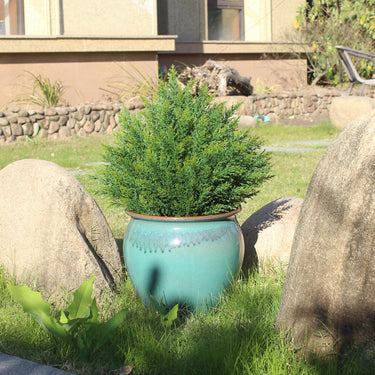 UV Resistant Artificial Topiary Ball Tree – 19" Faux Shrub